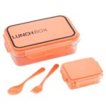 lunch box transparent