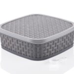 plastic dryfruit box